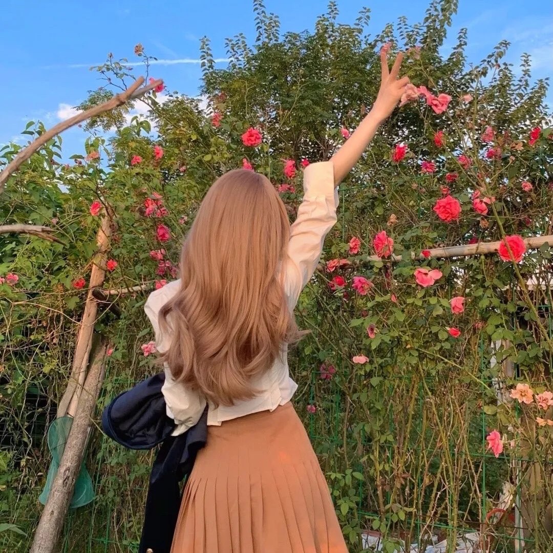 诺瓦利斯的蓝玫瑰